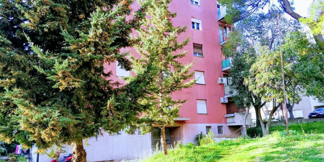 Pula Center Green Park Apartments And Rooms Exteriör bild